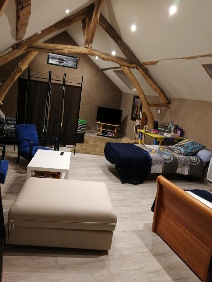 La Mansarde Des Sources Apartment Pougues-les-Eaux Bagian luar foto
